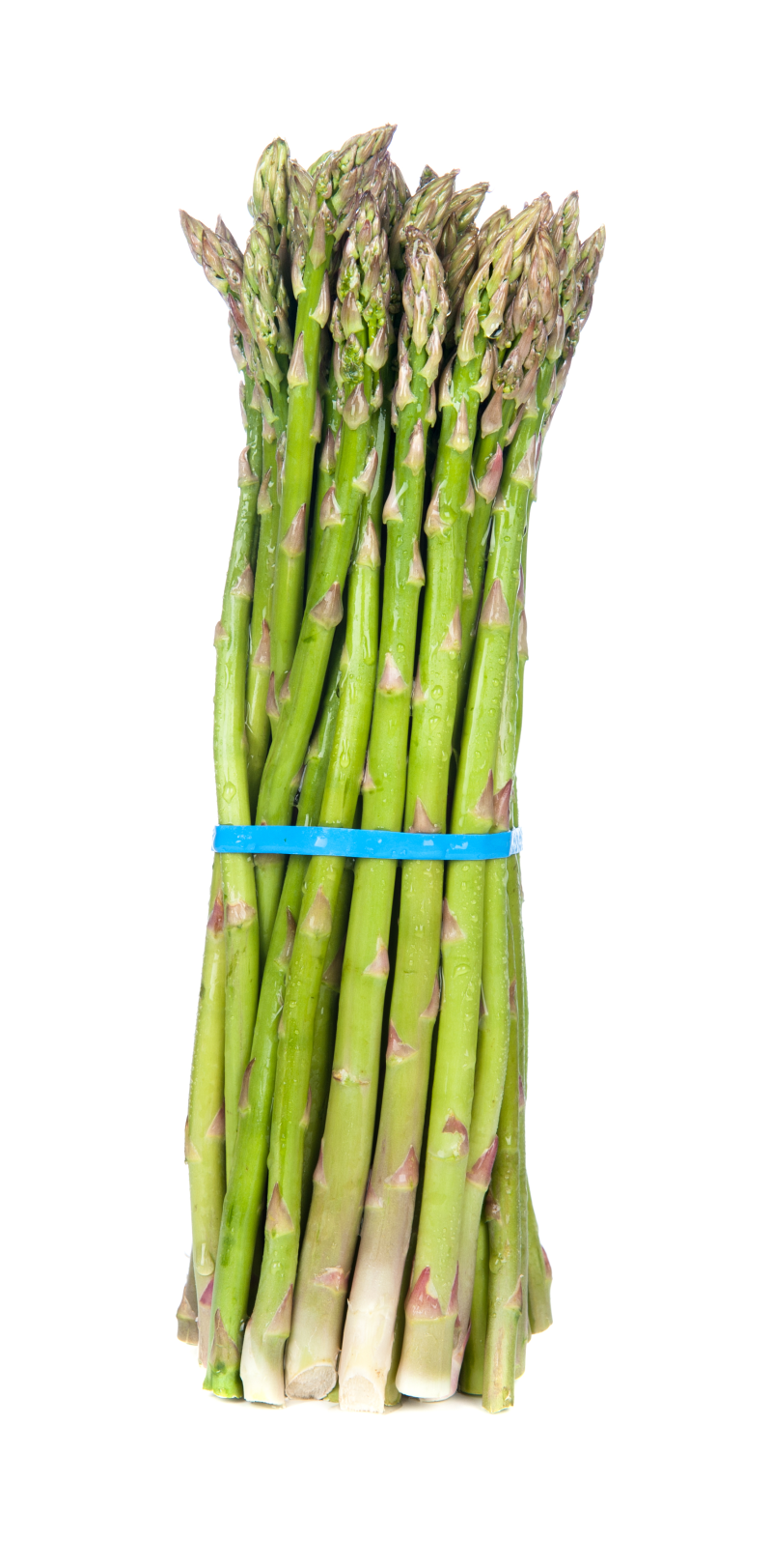 Esparragos Bolsa 500 Gr