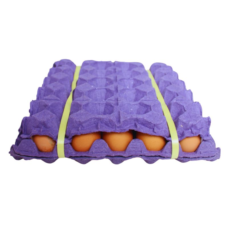 Huevo Oro Tipo Aa 30 Und