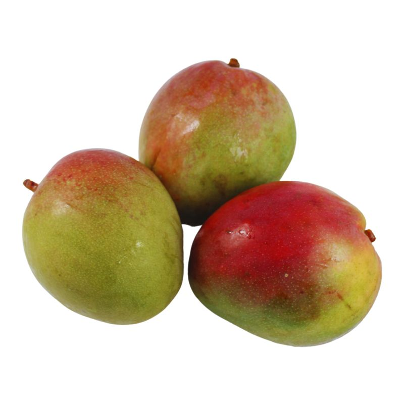 Mango Grueso 1000 Gr