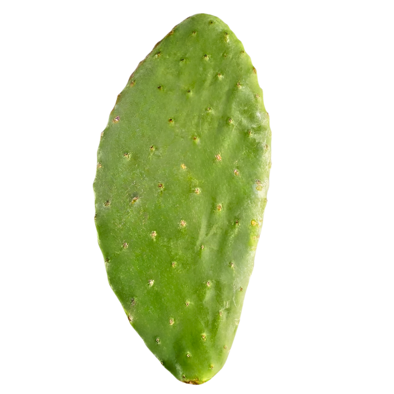 Nopal 1000 Gr
