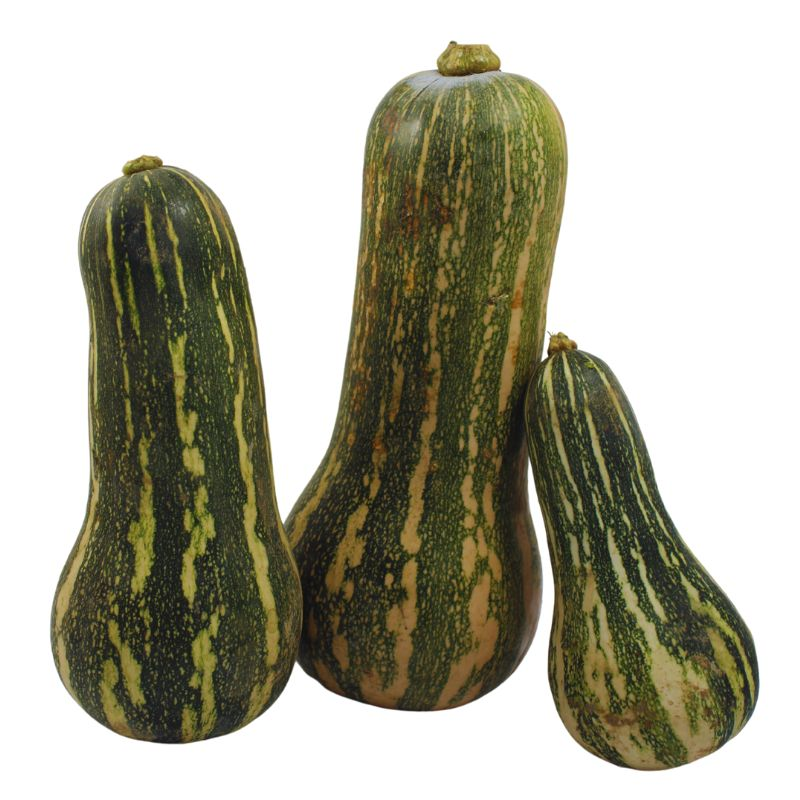 Ahuyama Mini 1000 Gr