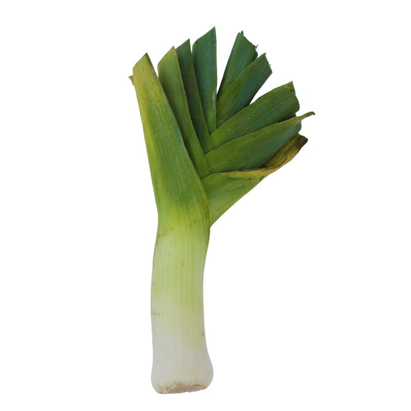 Cebolla Puerro 1000 Gr