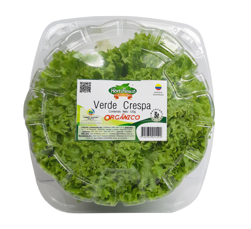 Lechuga Hortifresco Verde Crespa 120