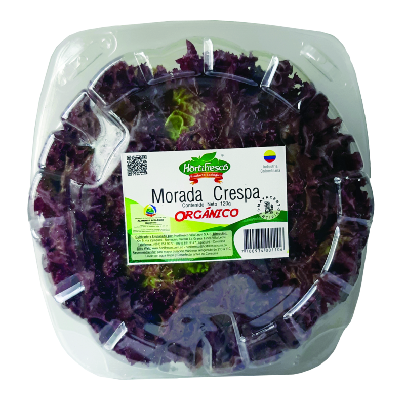 Lechuga Hortifresco Crespa 120