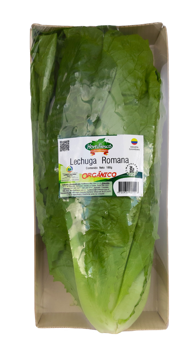 Lechuga Hortifresco Romana 180