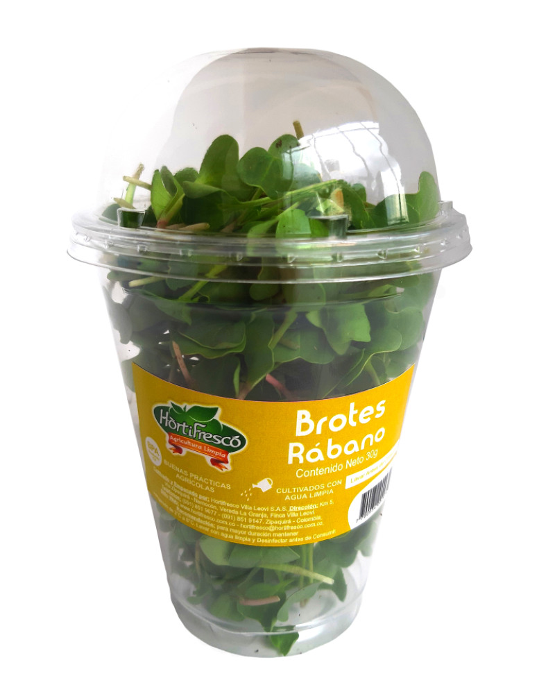 Brotes Hortifresco Rabano 30 Gr