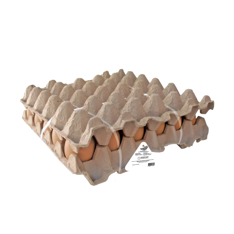 Huevo Vigor B 30 Und