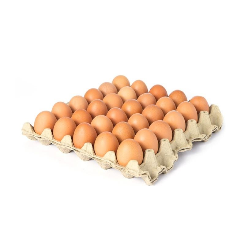 Huevo Vigor Rojo Rojo Amarrado 30 Und